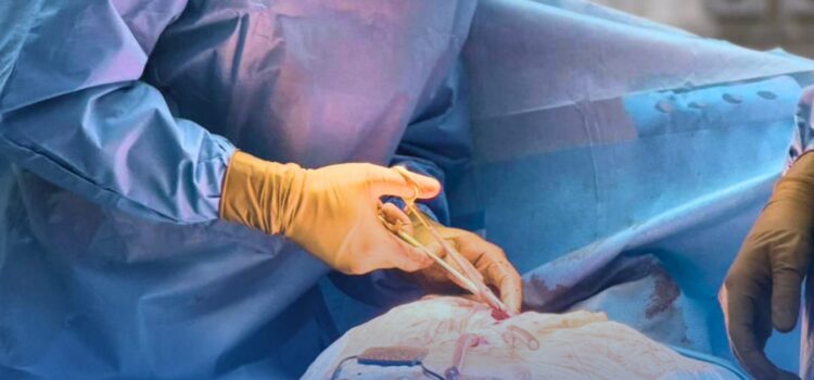 Более 130 высокотехнологичных операций проведено в АМКБ в рамках ОСМС